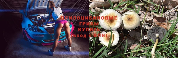 герыч Алексин
