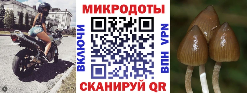 Галлюциногенные грибы Magic Shrooms  Анадырь 